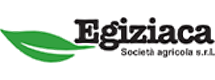 https://www.magemi.it/wp-content/uploads/2023/02/egiziaca-magemi-1.png